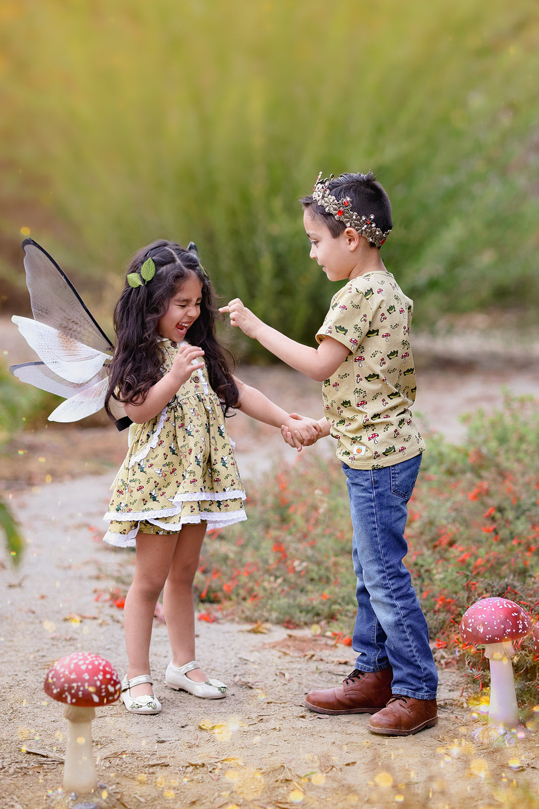 Fairy Friends Dress Set