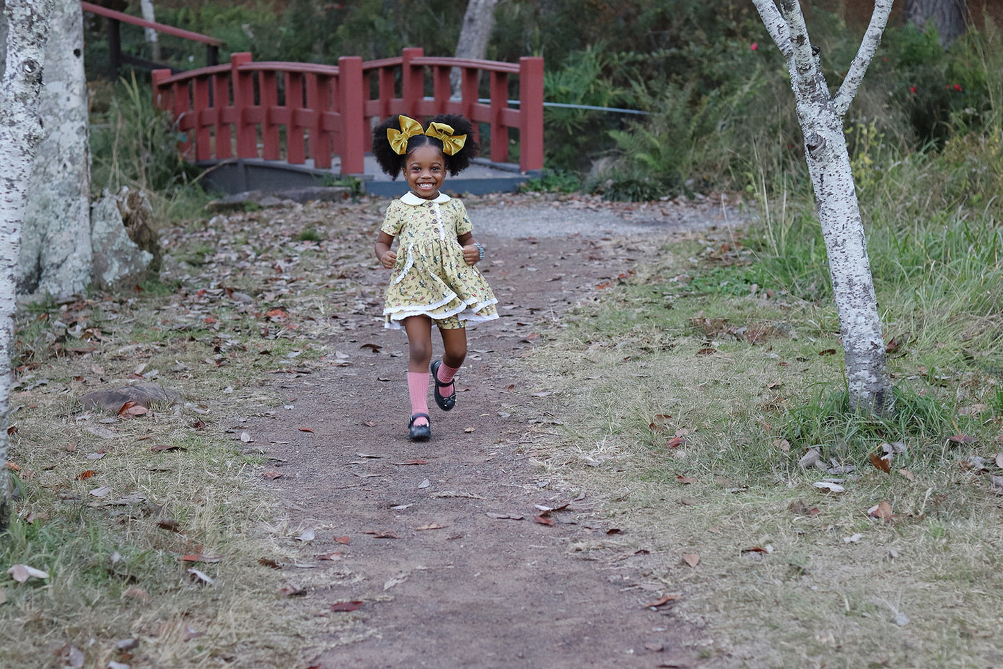 Fairy Friends Dress Set