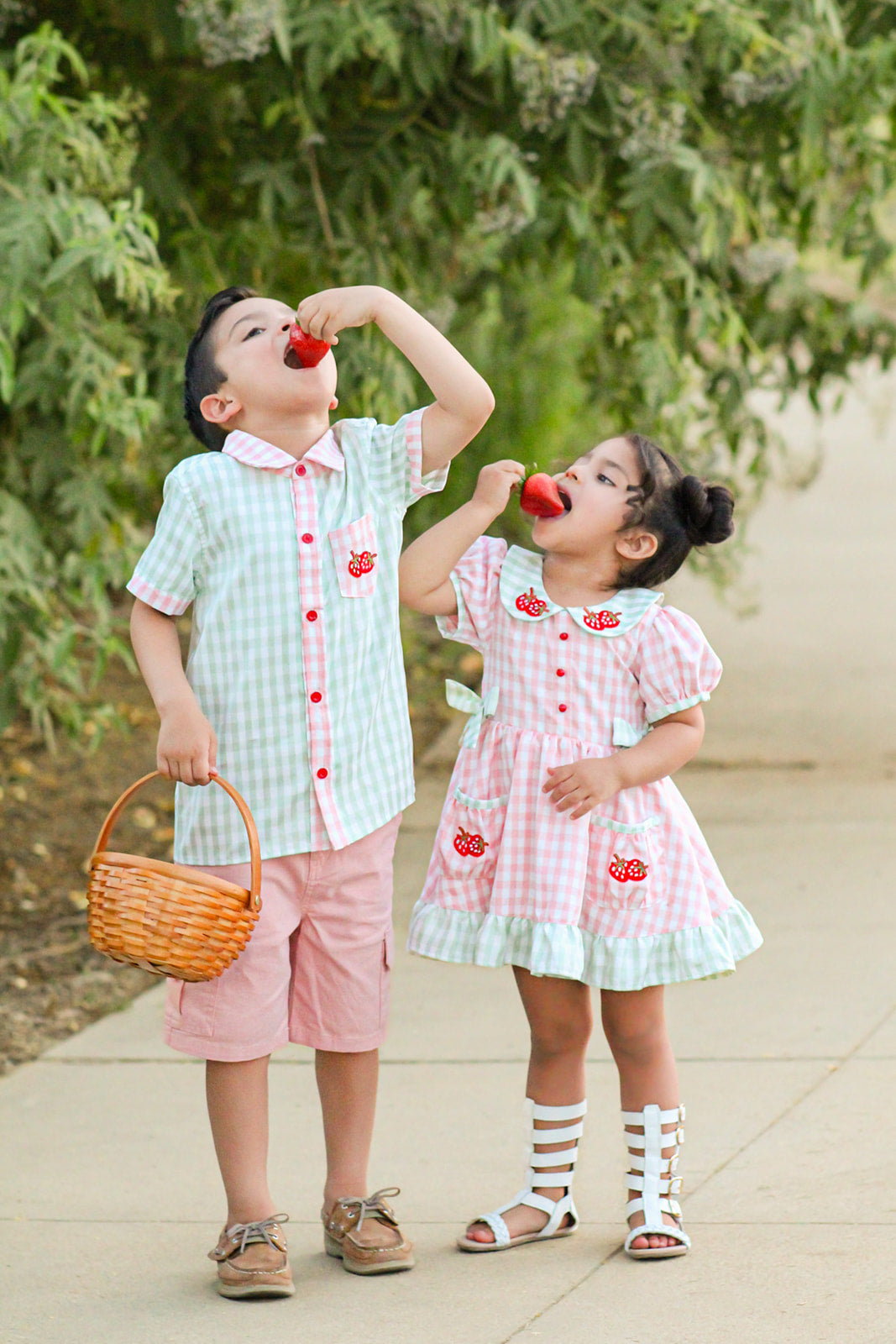 Strawberry Fields Dress Set