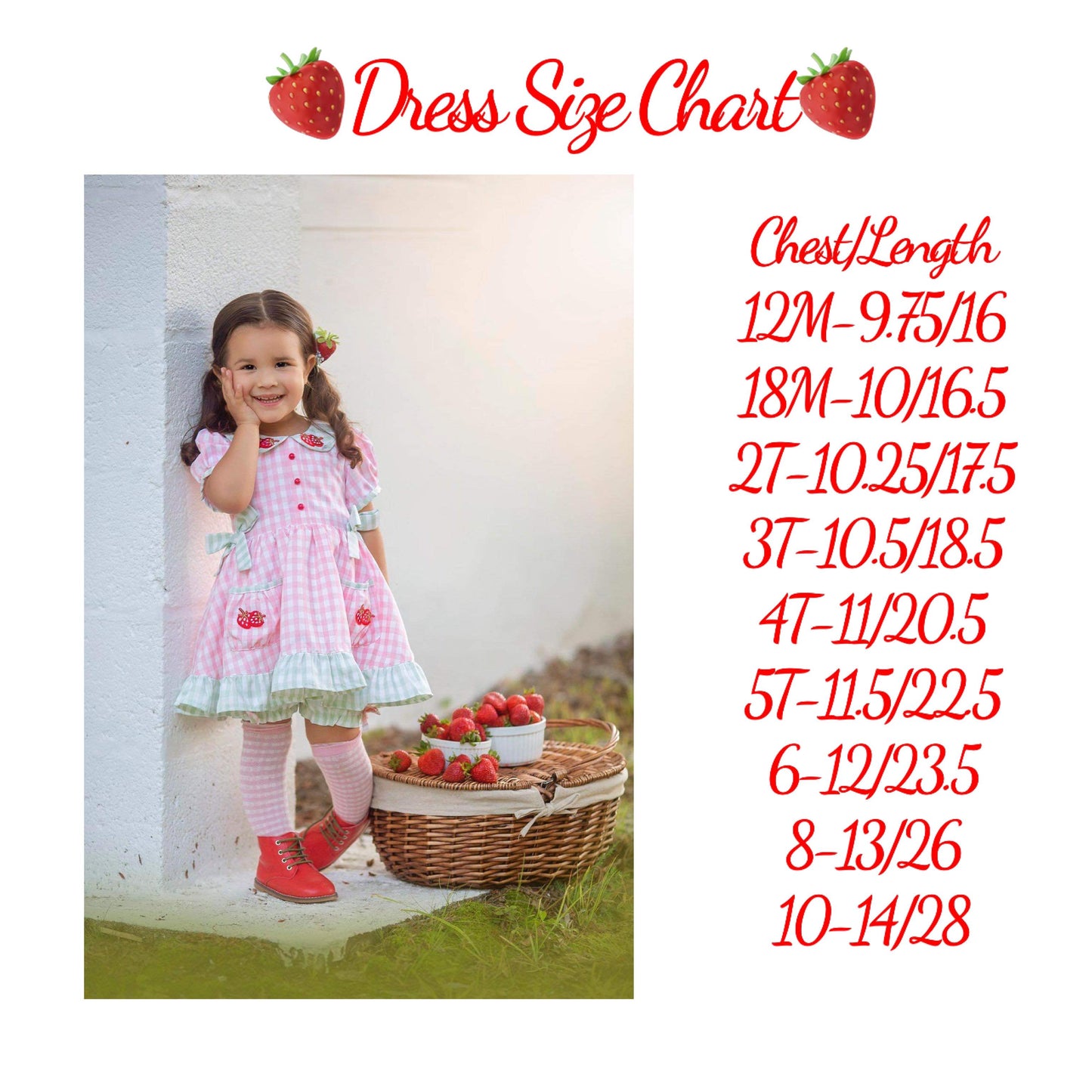 Strawberry Fields Dress Set