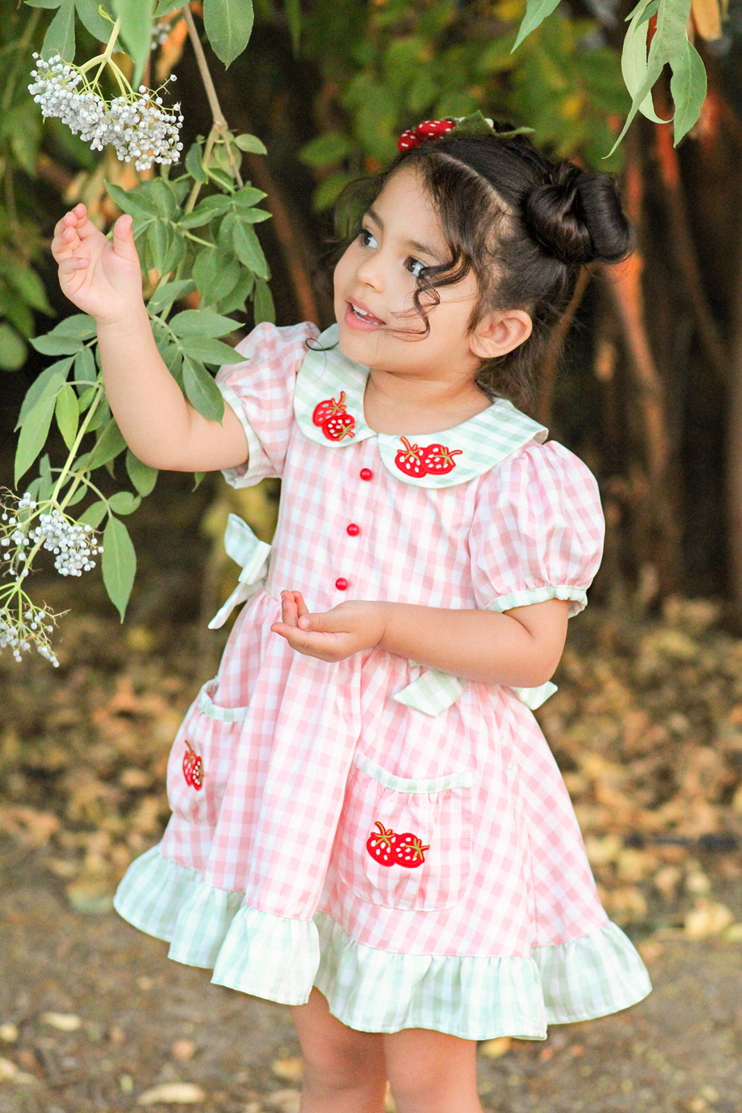 Strawberry Fields Dress Set