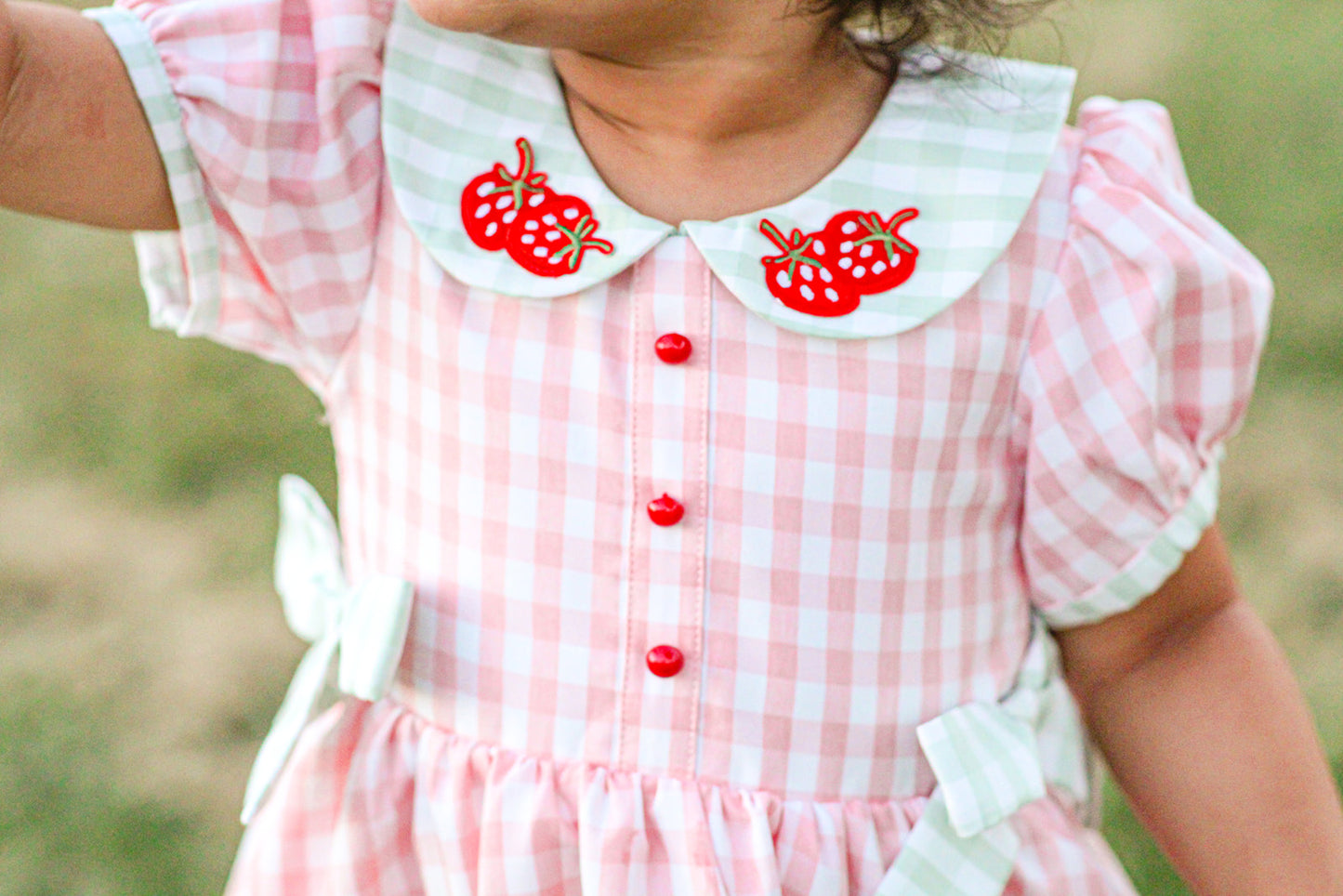 Strawberry Fields Dress Set