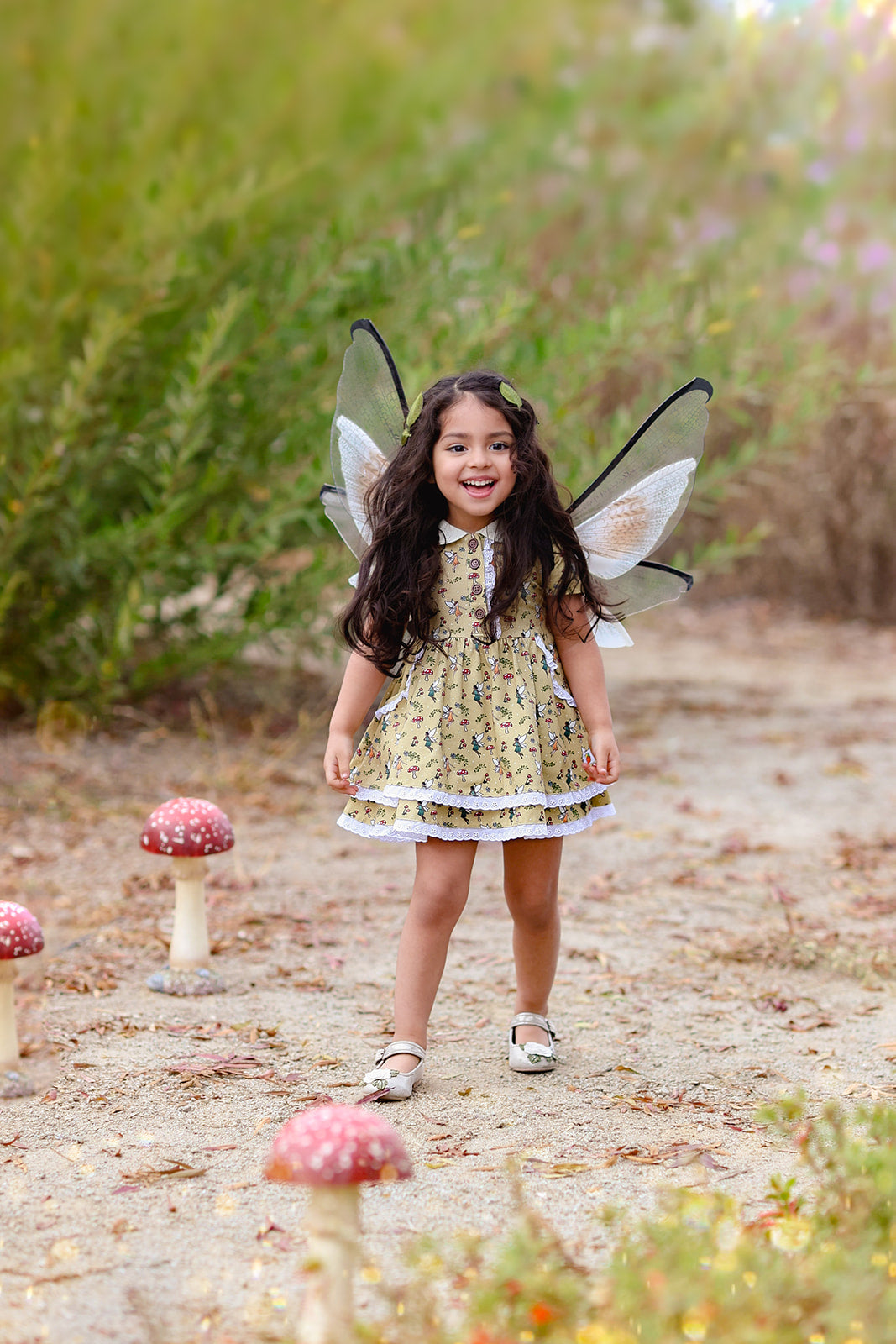 Fairy Friends Dress Set