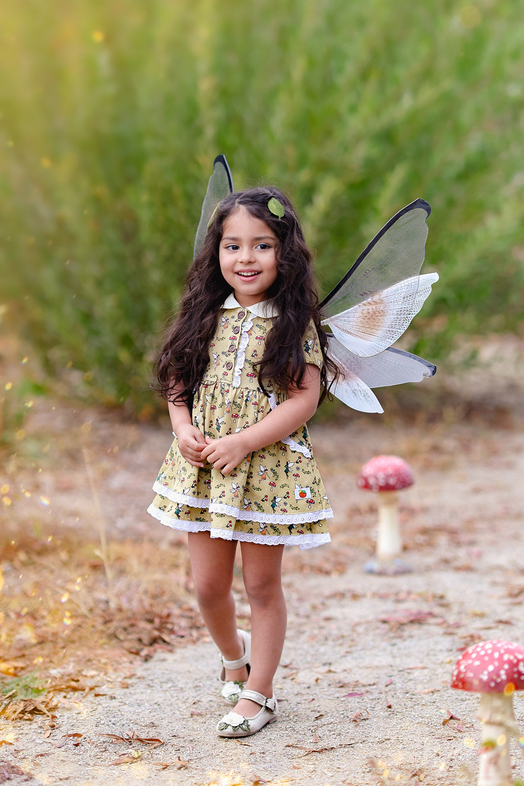 Fairy Friends Dress Set